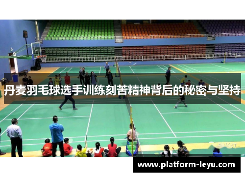 丹麦羽毛球选手训练刻苦精神背后的秘密与坚持