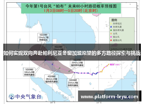 如何实现双向奔赴帕利尼亚冬窗加盟愿望的多方路径探索与挑战