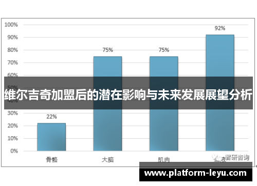 维尔吉奇加盟后的潜在影响与未来发展展望分析