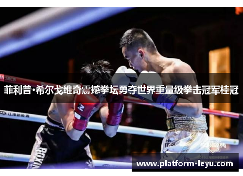 菲利普·希尔戈维奇震撼拳坛勇夺世界重量级拳击冠军桂冠