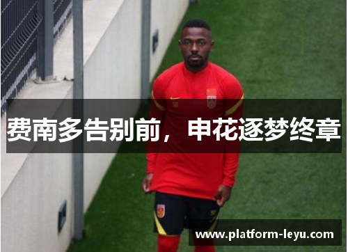 费南多告别前,申花逐梦终章 费南多告别前,申花逐梦终章