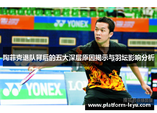 陶菲克退队背后的五大深层原因揭示与羽坛影响分析 陶菲克退队背后的五大深层原因揭示与羽坛影响分析