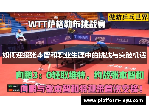 如何迎接张本智和职业生涯中的挑战与突破机遇