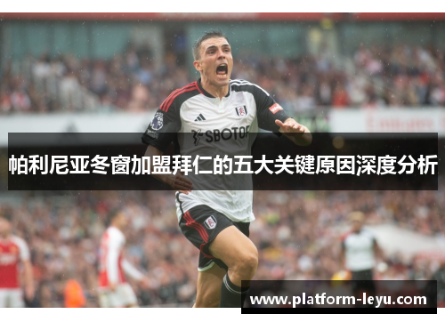 帕利尼亚冬窗加盟拜仁的五大关键原因深度分析