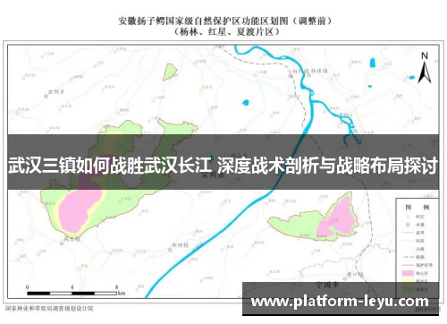 武汉三镇如何战胜武汉长江 深度战术剖析与战略布局探讨