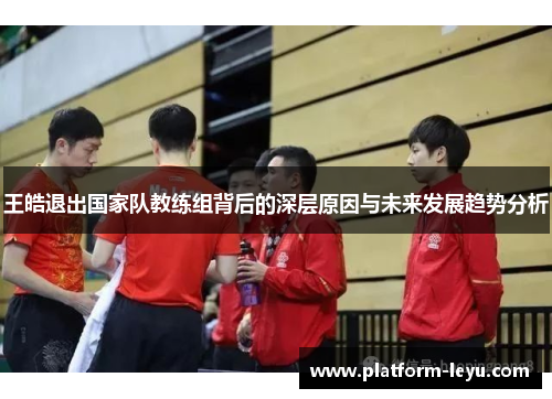 王皓退出国家队教练组背后的深层原因与未来发展趋势分析